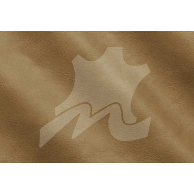 Aligo Group фото